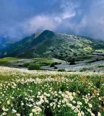 نمین
