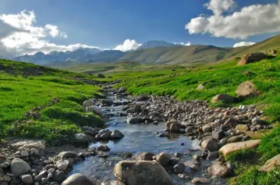 نیر