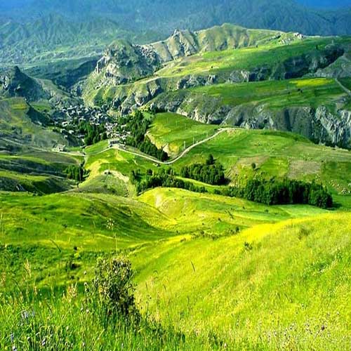 جنگل زیبای فندقلو